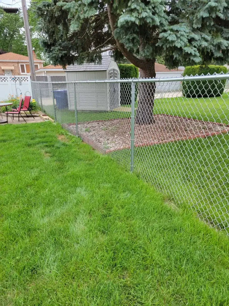 Chain-link fence in residential backyard with mature trees